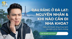 Đau Răng Ở Đà Lạt: Nguyên Nhân, Cách Xử Lý Và Khi Nào Cần Đi Nha Khoa Khám Ngay?